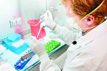 Cientificos Argentinos logran importante avance contra las fiebres hemorrágicas