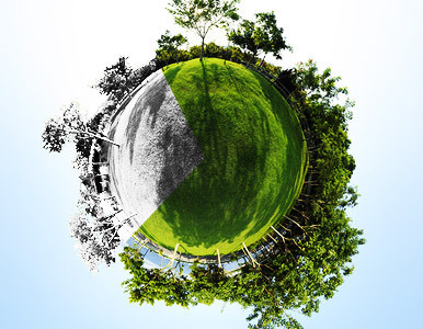 Una quinta parte de las plantas del mundo puede desaparecer.