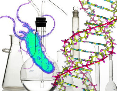 La historia de la evolución de la vida cifrada en los genes.
