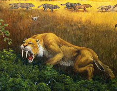 Hallan un yacimiento con miles de fósiles de especies desconocidas.