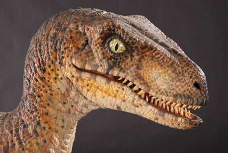 La última comida del Velociraptor.