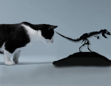 Los primeros dinosaurios eran del tamaño de un gato.