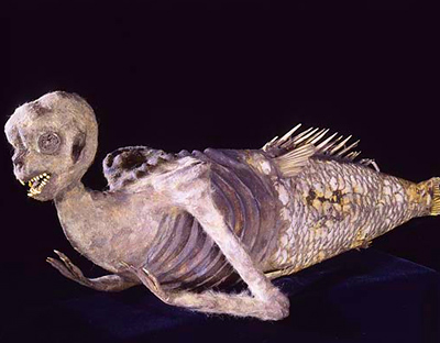 El extraordinario caso de las “sirenas reales”