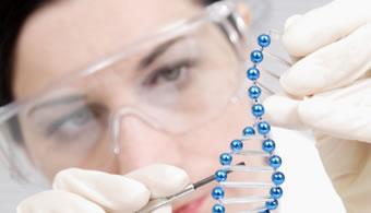 Cientificos Argentinos estudian una alternativa microscópica para combatir una enfermedad mortal