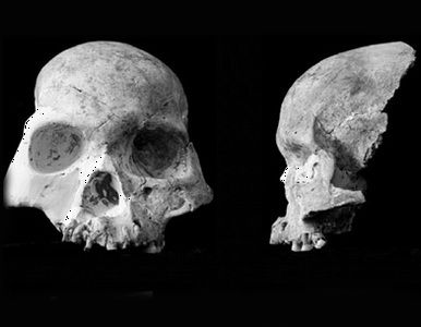 ¿Una cueva China guarda los secretos de una especie humana desconocida?