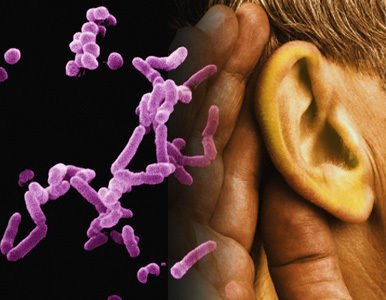 ¿Qué ´susurran´ los microbios?