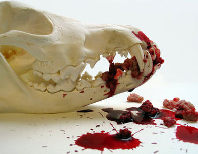 Ll ´chupacabras´ asoma el morro en Ucrania.