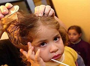 Piojos: una preocupación en la cabeza de los chicos y las madres.