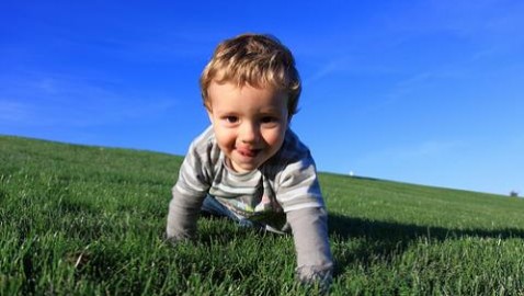 Infecciones gastrointestinales por Shigella