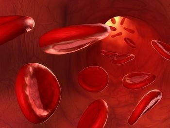 ¿Qué significa tener un envenenamiento de la sangre?