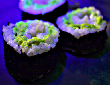 Pescado luminoso, un plato capaz de alumbrar una cena romántica.