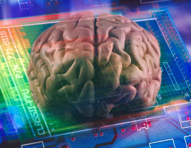 Un chip ayudaría a mover a personas paralizadas