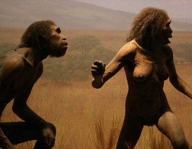 Somos como somos gracias al... ¡Cambio Climático!