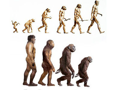 ¿Evolución o Involución?: Hallazgos de científicos Rusos cuestionan la teoría de Darwin.
