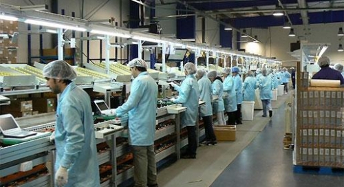 Tierra del Fuego: en pleno polo tecnológico se perdieron 4 mil puestos de trabajo.