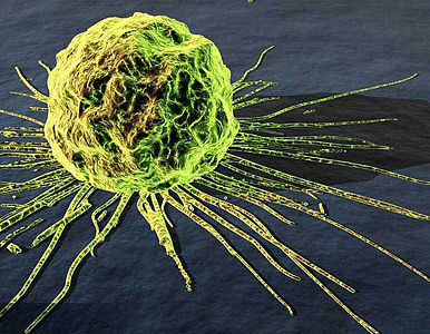 ¿Biólogos crean cura para el Cáncer?