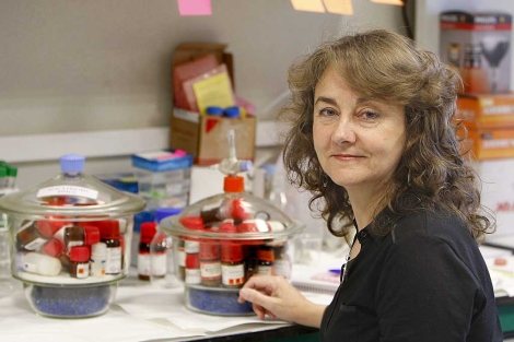 De la cicuta al polonio radiactivo.