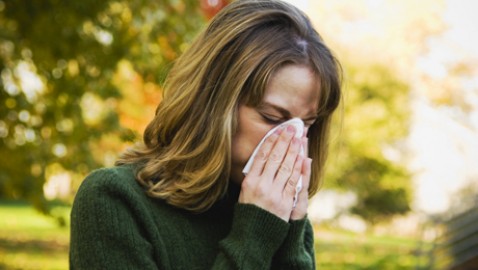 Terapias alternativas para las alergias.