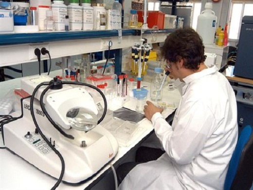 Cientificos Argentinos investigan con moléculas transportadoras de drogas para el tratamiento del autismo