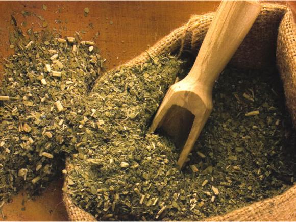 Cientificos Argentinos aplican los antioxidantes de la yerba mate en los alimentos logrando retrasar su descomposición