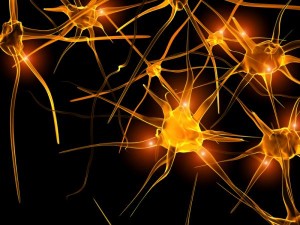 Más cerca de la terapia de reemplazo neuronal