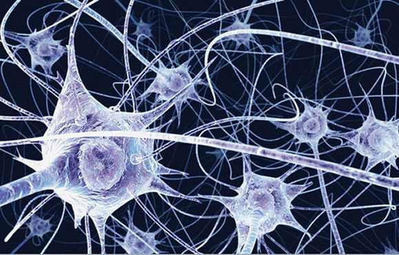 HÁBITOS QUE DAÑAN EL CEREBRO (matan neuronas) 