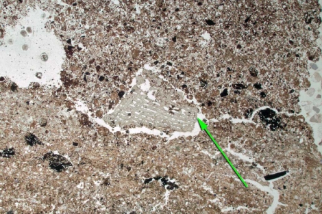 Los restos de la hoguera más antigua.