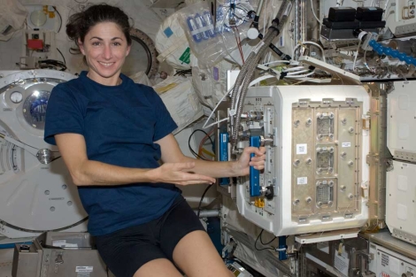 Seis ratones ´astronautas´ para estudiar la pérdida de masa ósea