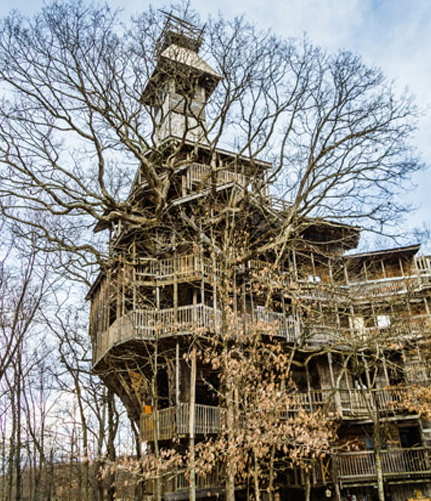 ¨Visión divina¨ lo hizo construir una casa de 10 pisos en un árbol