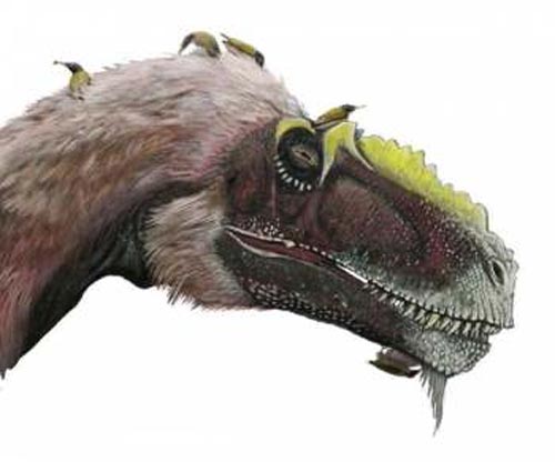 Encuentran al mayor dinosaurio plumífero.