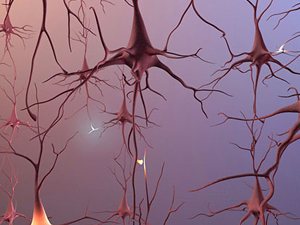 Con corrientes eléctricas se aprende más rápido.