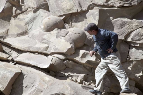 Unos obreros descubren los huevos de dinosaurios más grandes