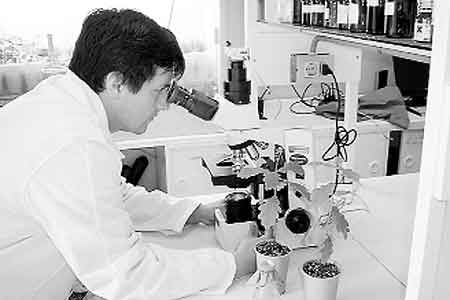 Cientifico Argentino participó de investigación que llevó a importante descubrimiento sobre los vegetales