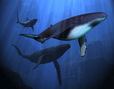 Las ballenas, ¿pueden predecir los terremotos?