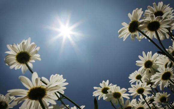 Para remontar la semana con toda la fuerza ....