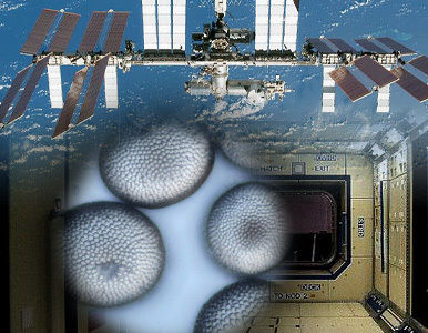 La estación espacial internacional, ¿a punto de deshacerse?