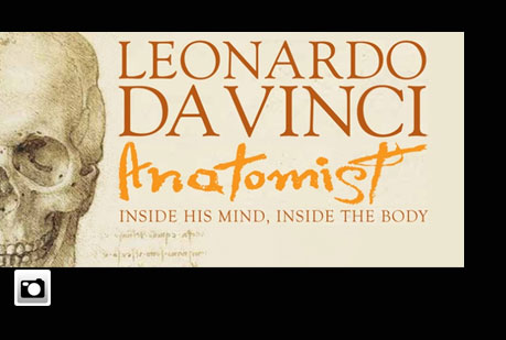 Exposición de los estudios de anatomía de Leonardo da Vinci.