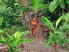 Tribus aisladas de la Amazonia enfrentan riesgo de genocidio
