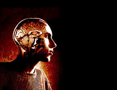 Crean una vacuna contra el tumor cerebral a partir del mismo cáncer.