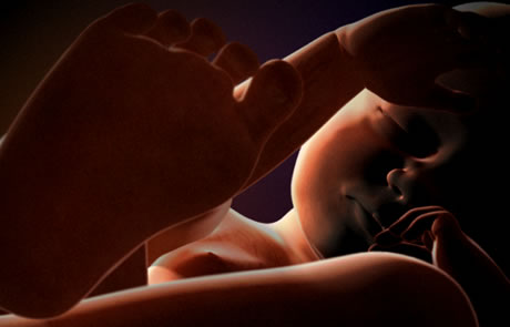 Alquilarle el vientre al mercado.