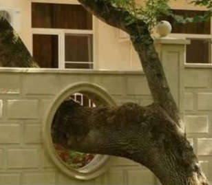 10 Problemas de construcción resueltos con ingenio y humor