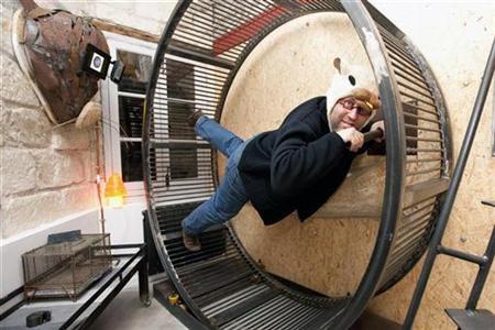 Insólito hotel francés ofrece a sus huéspedes la experiencia de vivir como un hámster