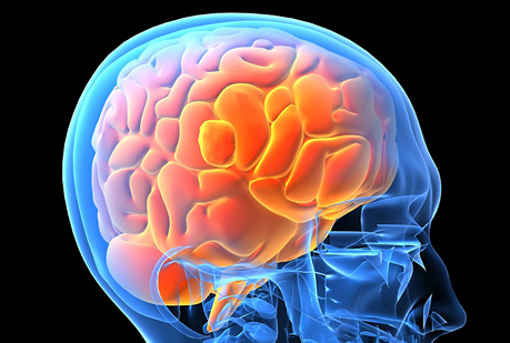 Consumir cocaína hace envejecer al cerebro un poco más rápido