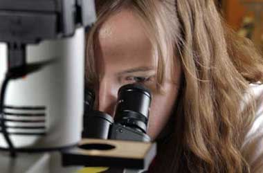 Investigadores Argentinos descubrieron un proceso clave para el tratamiento del cáncer‏