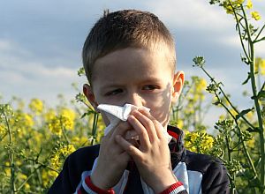 Alergias, un verdadero problema de Salud Pública