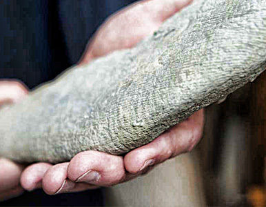 ¿Qué es? El hallazgo de un misterioso ser deja perplejos a los científicos.