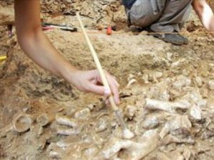 Nuevas evidencias de la presencia de humanos en Chile hace 14.000 años.     
