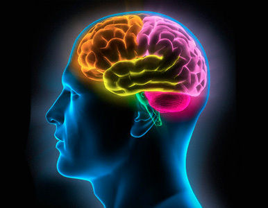 ¿Pede predecirse la drogadicción de los jovenes estudiando el cerebro?