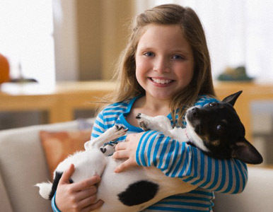 ¿Qué es mejor para un niño, una mascota o un juguete?