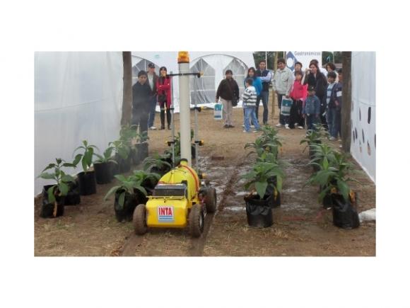 Investigadores Argentinos diseñaron un robot para mejorar la producción en invernaderos‏